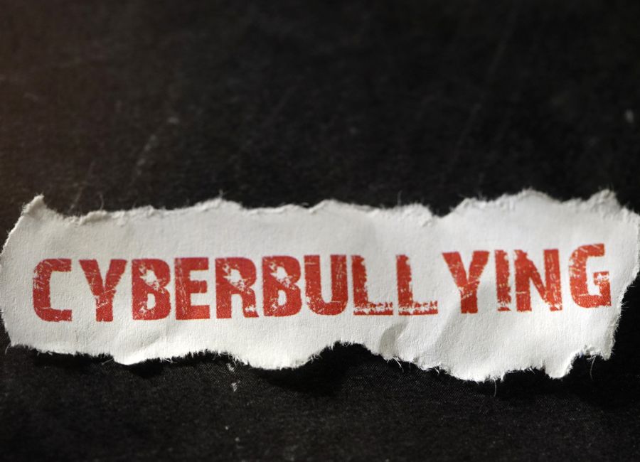 How Can a Business Get Cyberbullied?